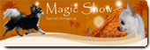 Magicshow